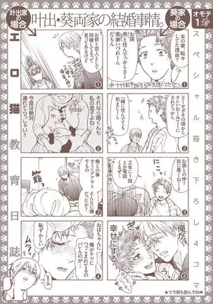 Ero Neko Kyouiku Nisshi