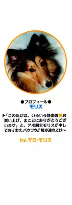 [Morris] Iroiro Kairakuen