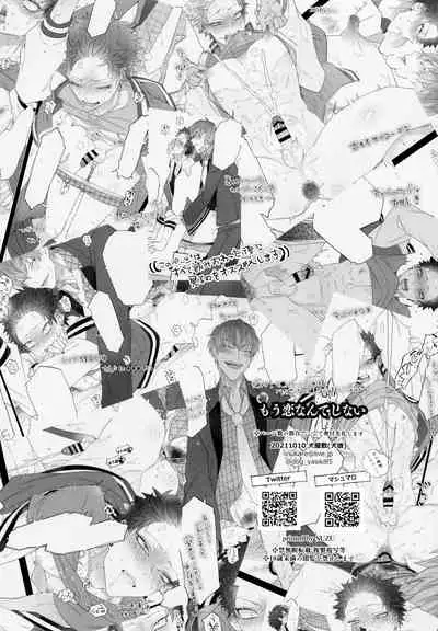 Mou Koi nante Shinai!