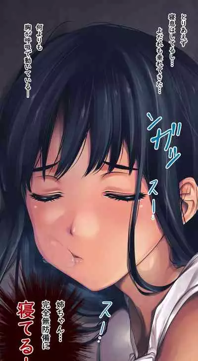 [Ruman-dou] Komarigao na Bijin no Ane o Osotte Yaritai Houdai Yatta Hanashi -Suiminkan-