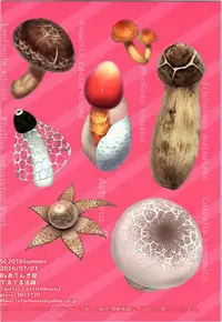 (SC2016 Summer) [Otenkiya (Teltel Housi)] Kongou to Manatsu no Kinoko Kari? ! (Kantai Collection -KanColle-)