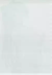 (C88) [Yamaguchi Print (Tamaki Yayoi)] Tama-nee ga Ippai (ToHeart2)