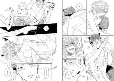 Kitsune-san, Bakashi Aishimasho!