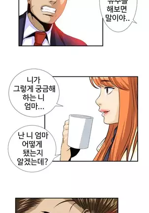 Chauffeur Service Ch.1-30.5